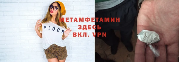 мет Алексин