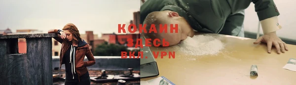 винт Аркадак