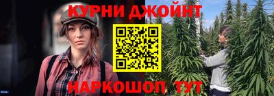 спиды Дубна