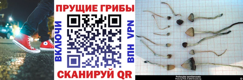 Галлюциногенные грибы Magic Shrooms  Выкса 