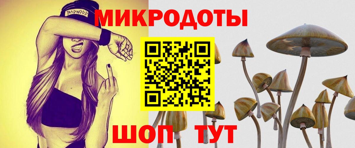 Галлюциногенные грибы мицелий  Вход с VPN  Выкса 